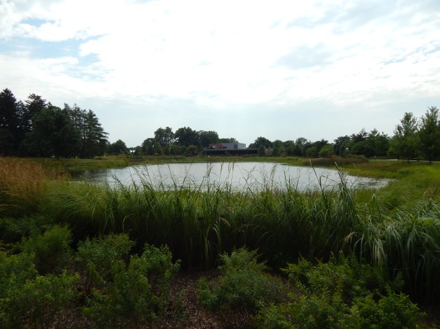 A view across Meadow Lake towards the Visitor's Center
